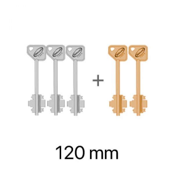 Набір ключів до замків серії 7100/8100 з гостьовим ключем - 3+2 ключів - 120 мм