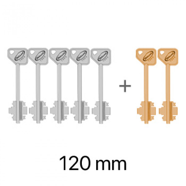 Набір ключів до замків серії 7100/8100 з гостьовим ключем - 5+2 ключів - 120 мм